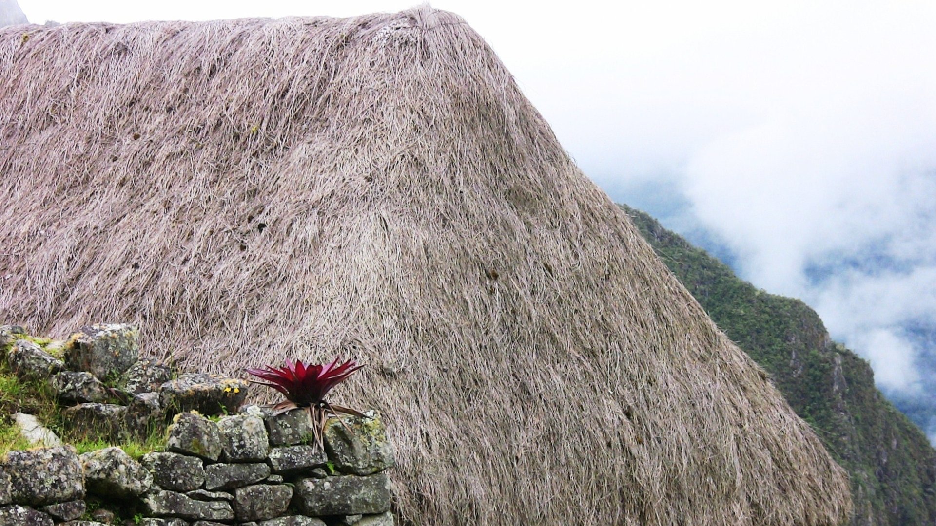 Download Man Made Machu Picchu HD Wallpaper