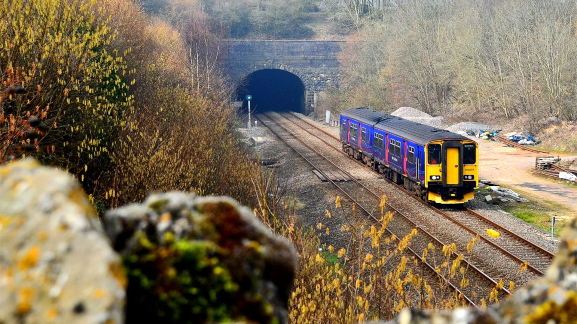 HD desktop wallpaper featuring a vibrant train emerging from a tunnel surrounded by autumn foliage on a clear day.