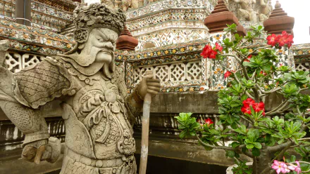  Wat Arun Guard