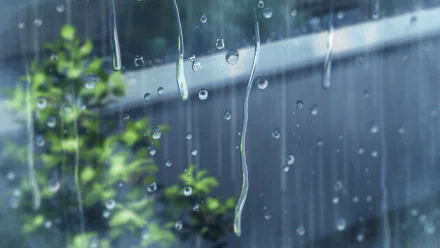 A serene HD desktop wallpaper from The Garden Of Words, featuring raindrops cascading down a window with lush greenery softly blurred in the background.