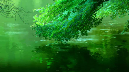 HD desktop wallpaper featuring a serene scene from The Garden of Words anime, with a lush green tree branch overhanging a rain-drenched lake.