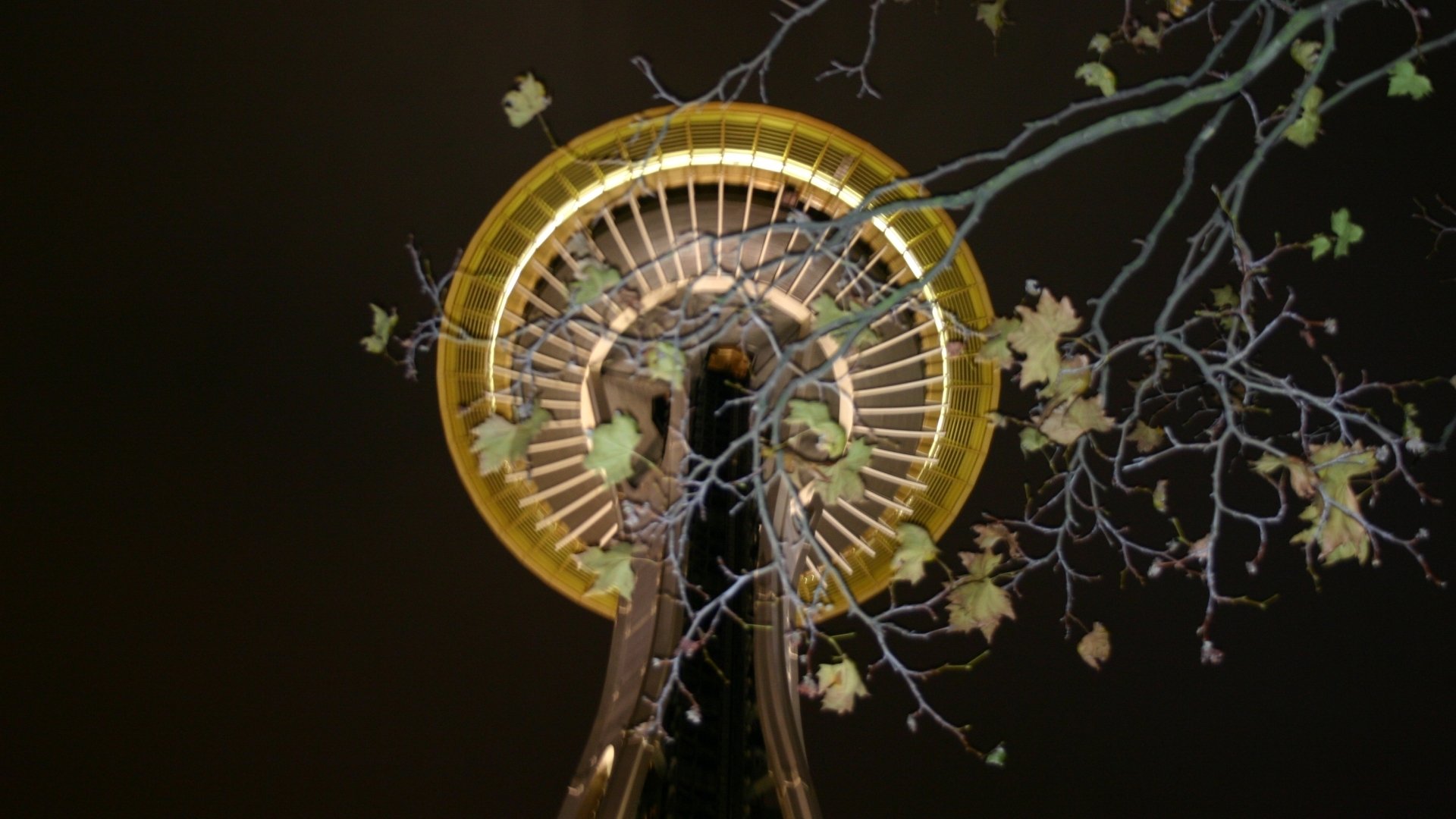 Download Man Made Space Needle HD Wallpaper