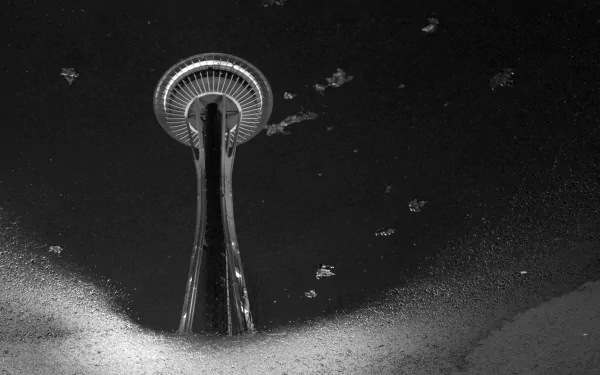 man made Space Needle HD Desktop Wallpaper | Background Image