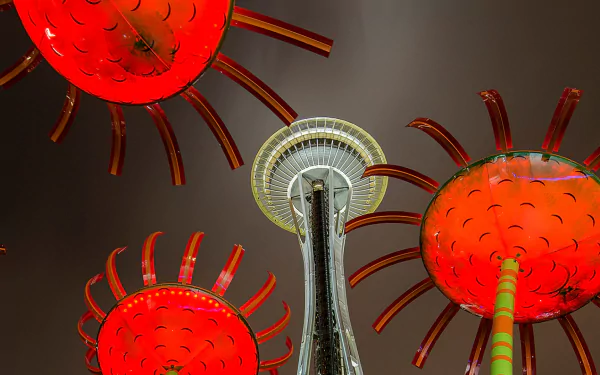 man made Space Needle HD Desktop Wallpaper | Background Image
