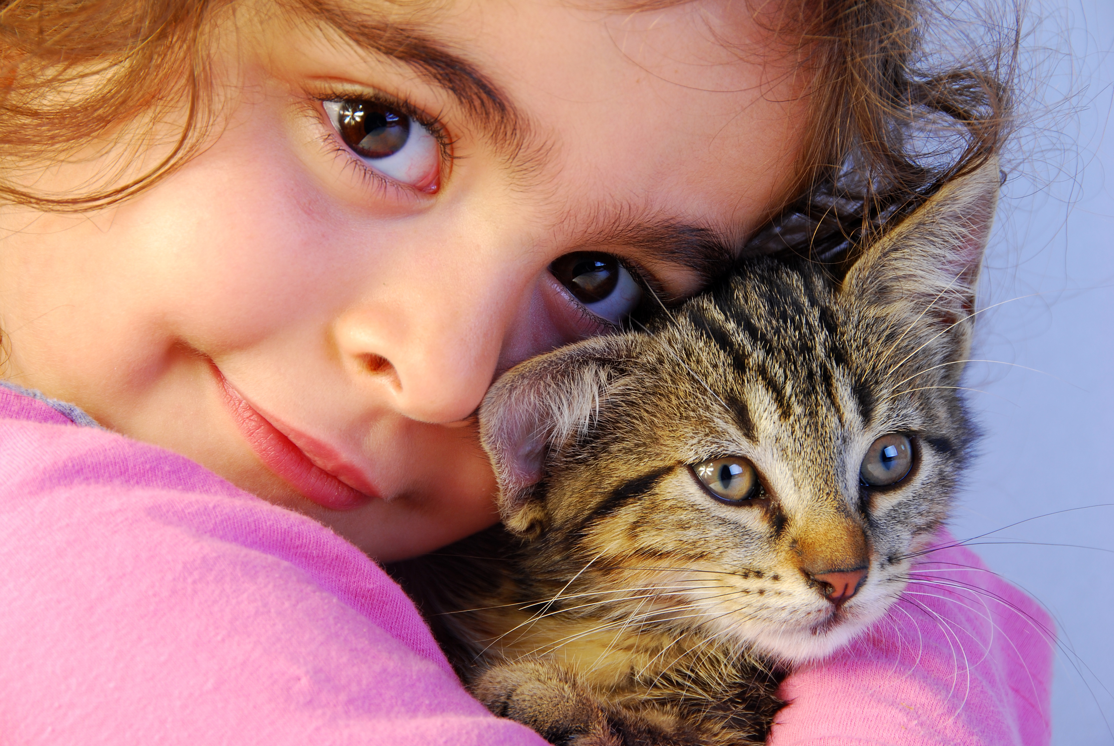 Питомцы кошечки. Домашние животные для детей. Девочка с котятами. Котёнок-ребёнок. Маленькие дети и животные.
