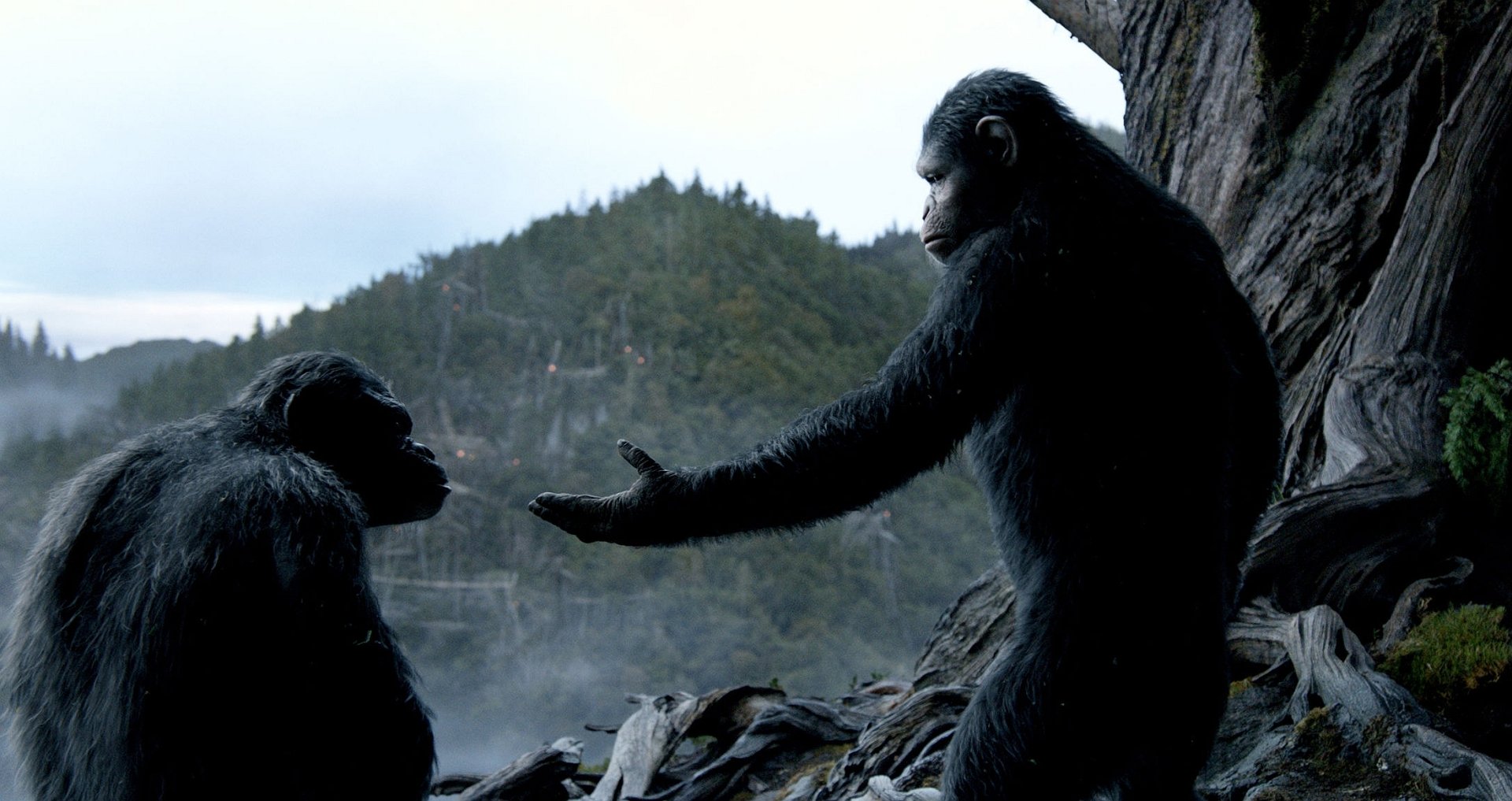 HD desktop wallpaper from the movie Dawn of the Planet of the Apes, depicting two apes in a cave with a mountainous landscape in the background.