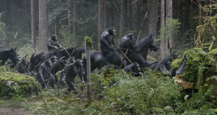 A striking HD desktop wallpaper featuring a scene from Dawn of the Planet of the Apes, showcasing an intense moment with apes on horseback in a lush forest setting.