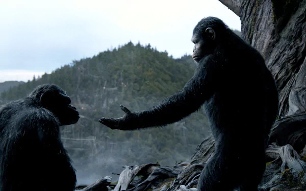 movie Dawn of the Planet of the Apes HD Desktop Wallpaper | Background Image