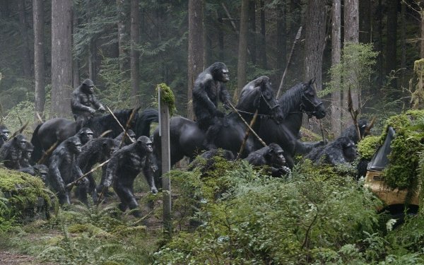 movie Dawn of the Planet of the Apes HD Desktop Wallpaper | Background Image