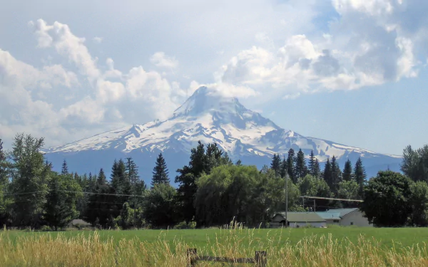 nature Mount Hood HD Desktop Wallpaper | Background Image