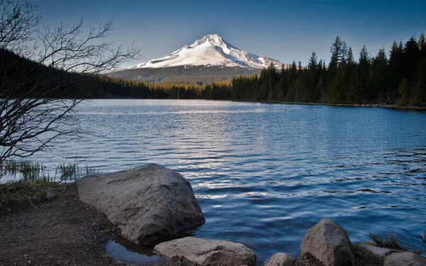 Nature HD desktop wallpaper: Mount Hood snowcapped above a pine forest, mirrored in a calm alpine lake with rocky shoreline in the foreground.