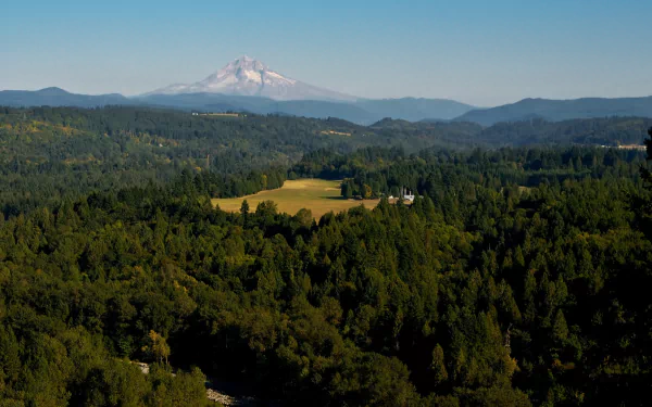 nature Mount Hood HD Desktop Wallpaper | Background Image