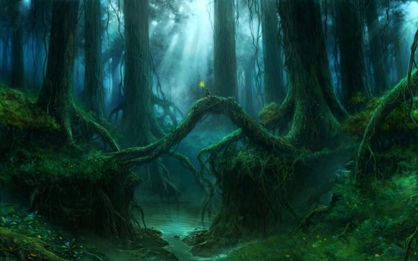 Fantasy Forest Wood HD Wallpaper | Background Image