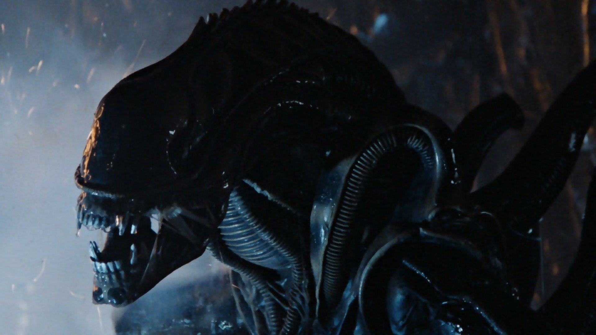 Download Movie Alien³ HD Wallpaper