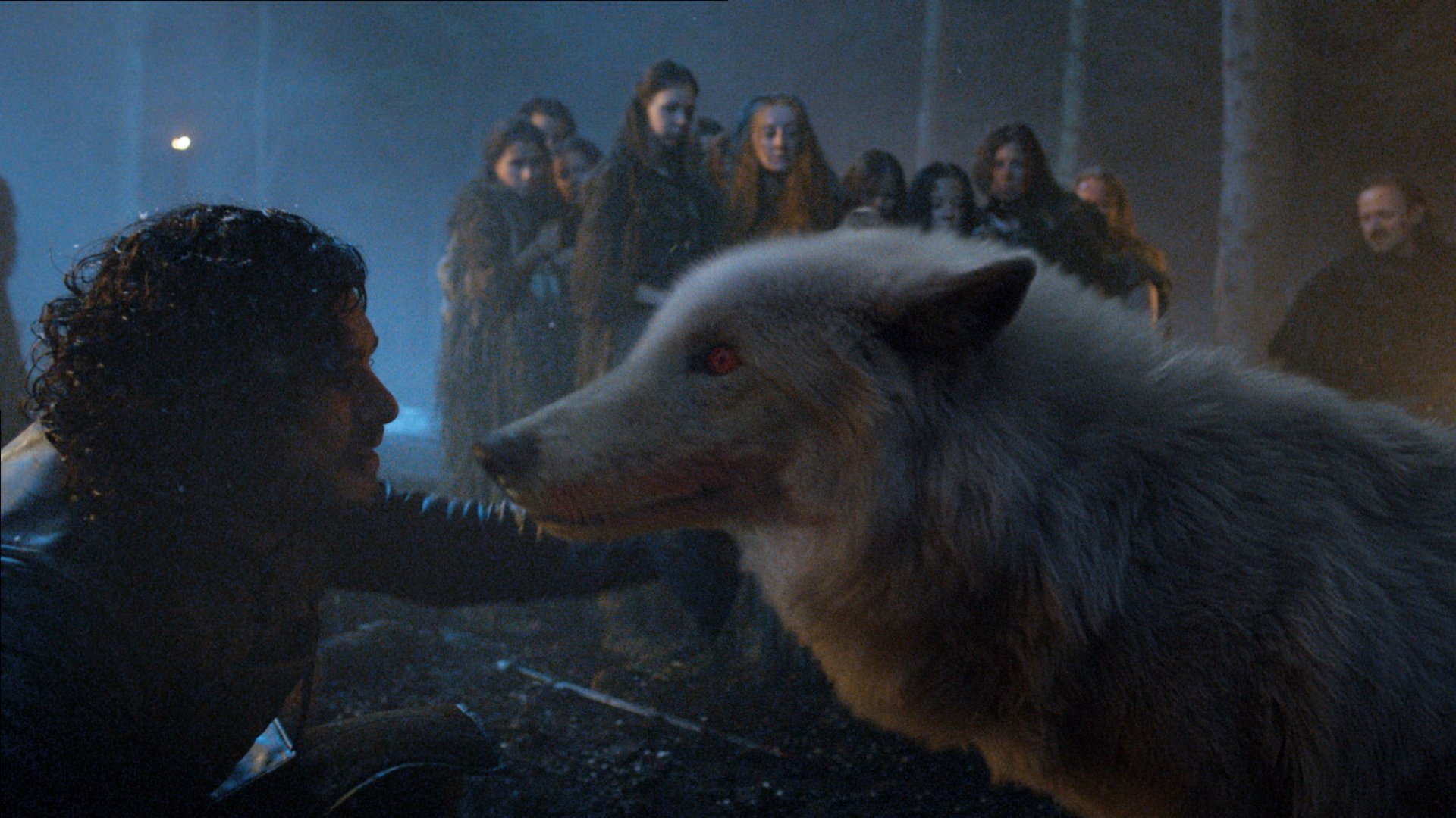 A captivating HD wallpaper from Game of Thrones, featuring a tense moment between Jon Snow and his direwolf amidst a gathering of onlookers in a shadowy forest.