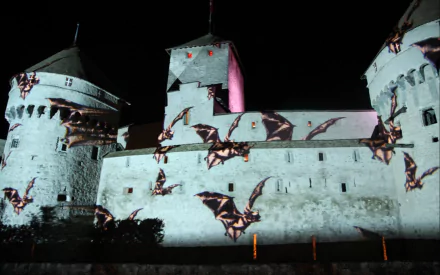 Switzerland Veytaux man made chateau de chillon HD Desktop Wallpaper | Background Image