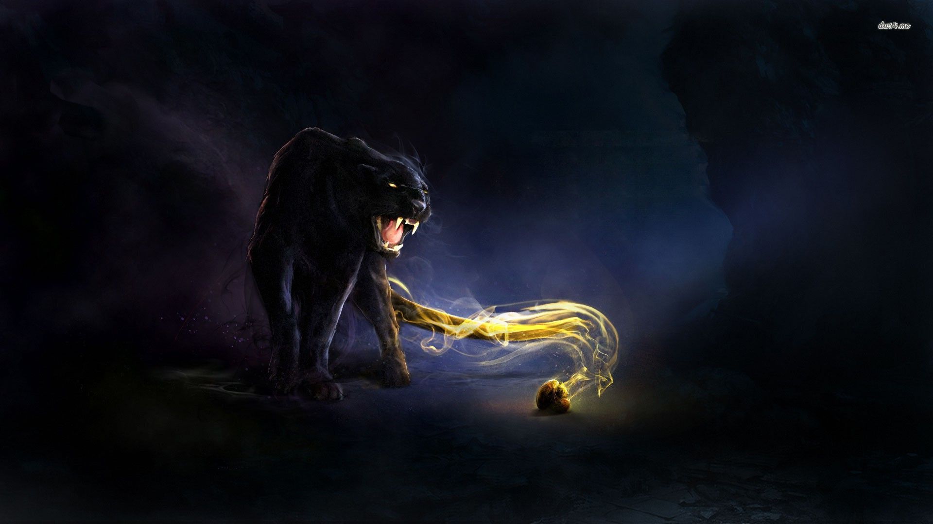 Animal Black Panther HD Wallpaper | Background Image