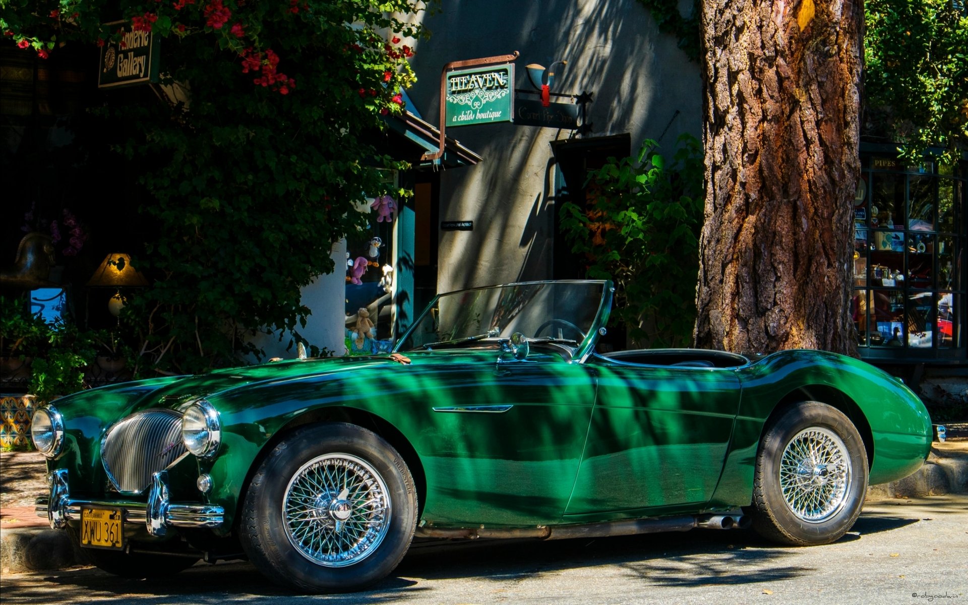 Download Vehicle Austin-Healey 100 HD Wallpaper