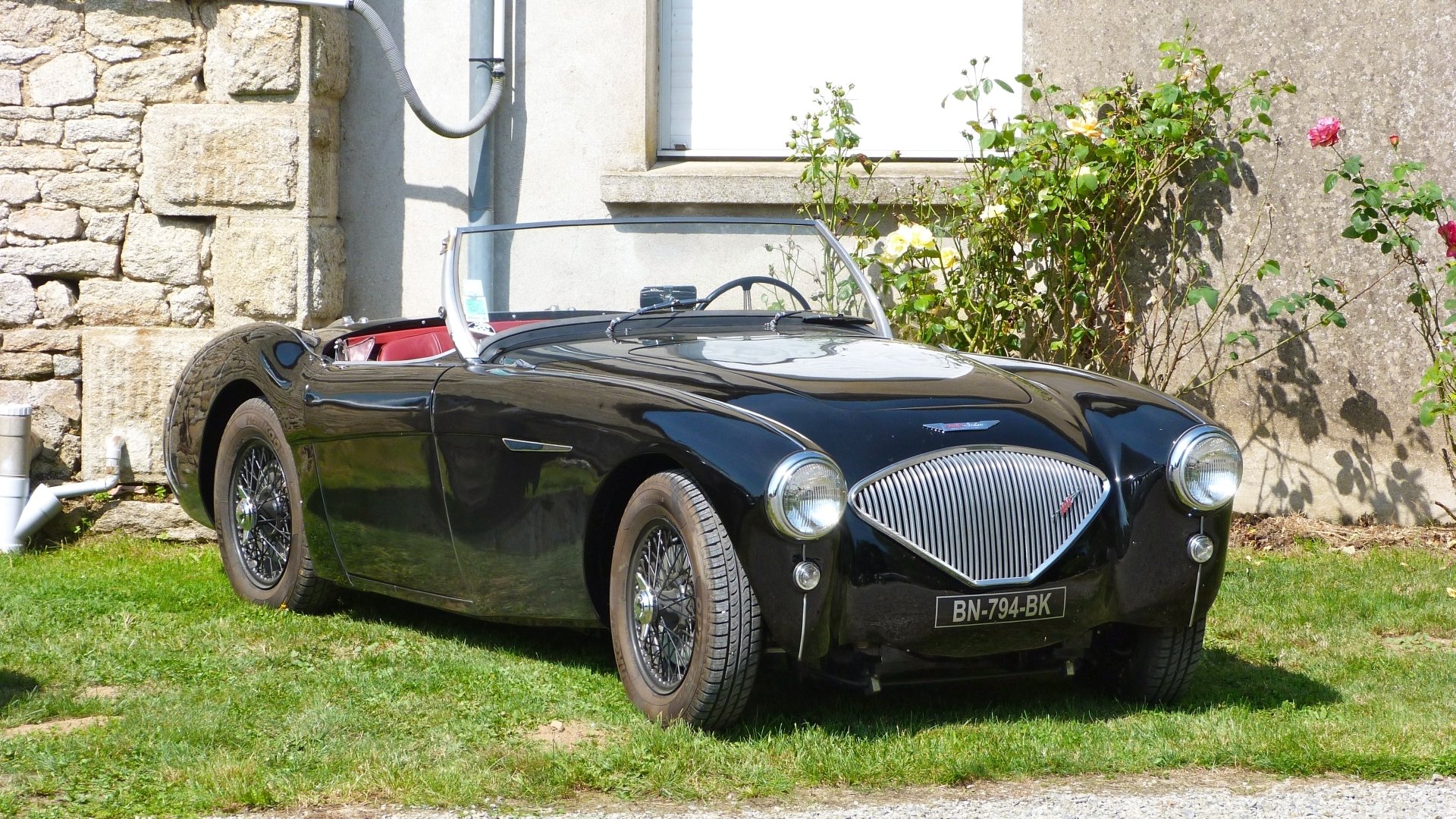 Download Vehicle Austin-Healey 100 HD Wallpaper