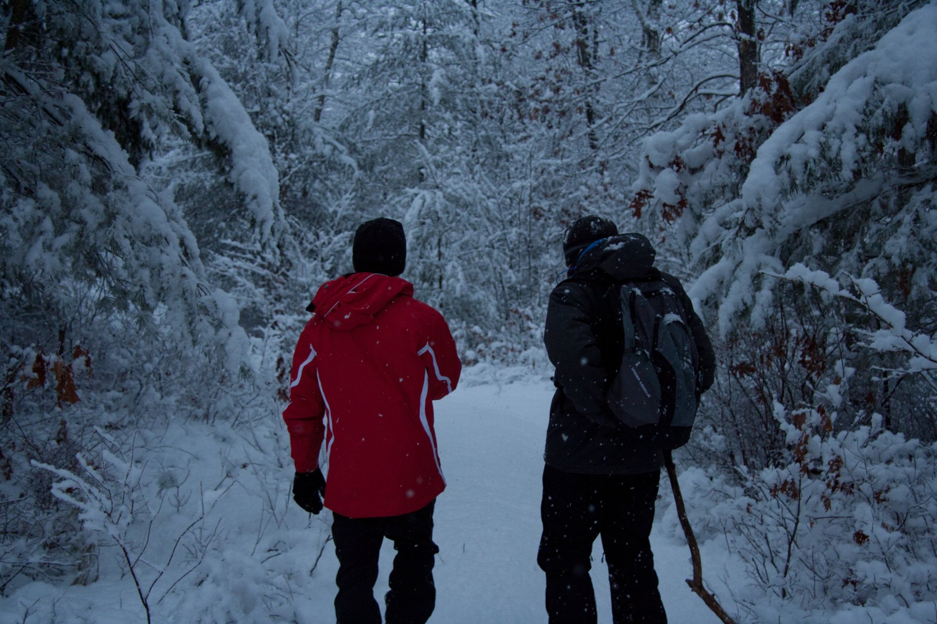Two hikers walk through a snow-covered forest trail in winter, captured in a crisp HD photography desktop wallpaper.