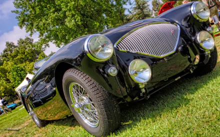 vehicle Austin-Healey 100 HD Desktop Wallpaper | Background Image