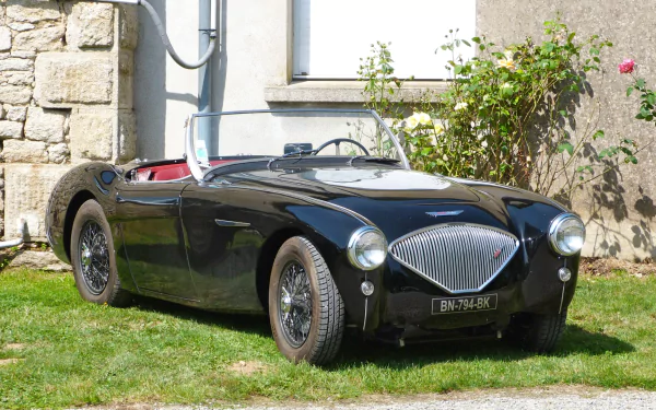 vehicle Austin-Healey 100 HD Desktop Wallpaper | Background Image