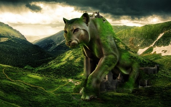 Fantasy Creature HD Wallpaper | Background Image