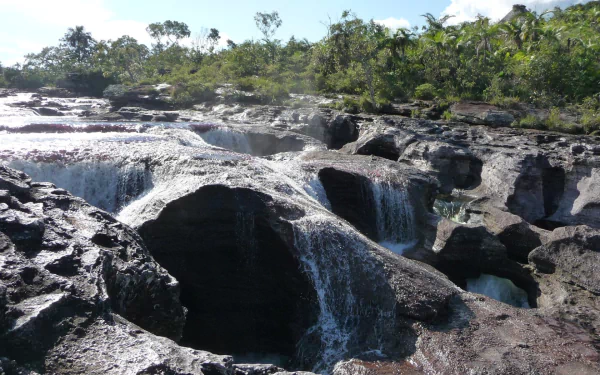nature Caño Cristales HD Desktop Wallpaper | Background Image