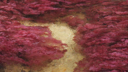 nature Caño Cristales HD Desktop Wallpaper | Background Image