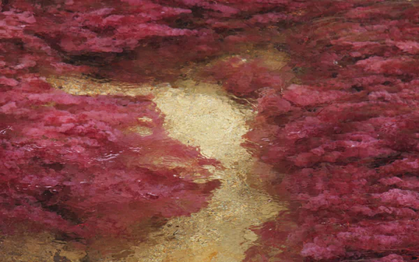 nature Caño Cristales HD Desktop Wallpaper | Background Image