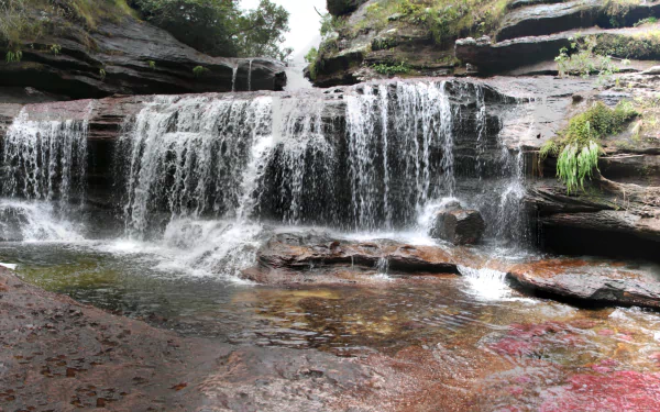 nature Caño Cristales HD Desktop Wallpaper | Background Image