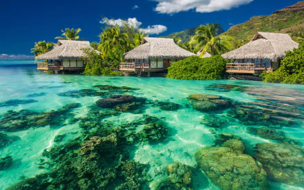 A serene resort scene featuring thatched-roof bungalows surrounded by vibrant turquoise waters and lush greenery, showcasing man-made beauty in a tropical paradise.