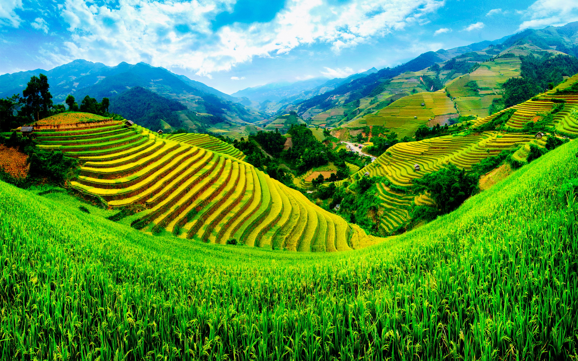Phong cảnh (Landscape): Nếu bạn muốn trải nghiệm những cảnh đẹp thiên nhiên hùng vĩ của Việt Nam, hãy thưởng thức những hình ảnh khách nhau của mảnh đất này. Từ những núi non, khu rừng nguyên sinh, đến những bãi biển hoang sơ trải dài, đến những con sông bao la. Thật tuyệt vời khi thưởng thức những phong cảnh đẹp nhất của Việt Nam. Đừng bỏ lỡ trải nghiệm này!