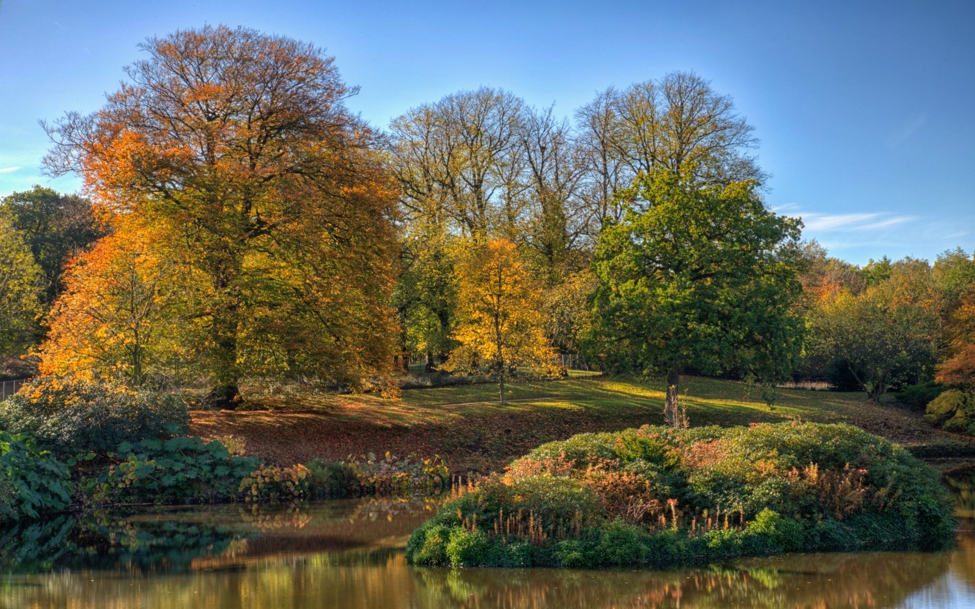 Download Man Made Lyme Park HD Wallpaper