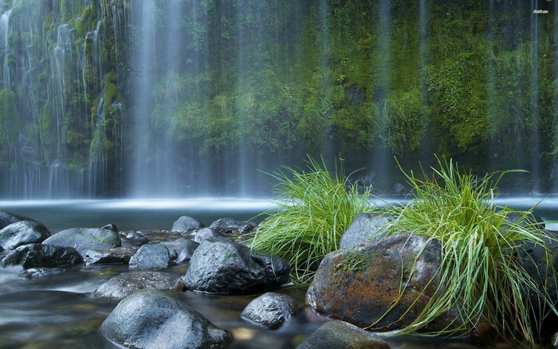 Imagem Da Natureza Para Papel De Parede Modisedu