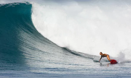A surfer skillfully rides a large wave, showcasing the thrill of surfing. This HD image serves as an invigorating desktop wallpaper for sports enthusiasts.