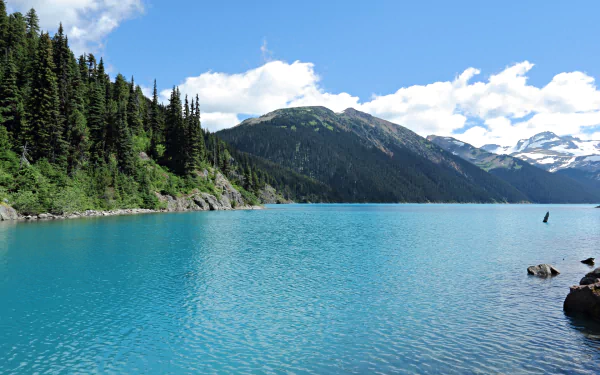 HD desktop wallpaper of Garibaldi Lake showcasing clear turquoise water, dense pine trees, and mountainous landscape under a bright blue sky.
