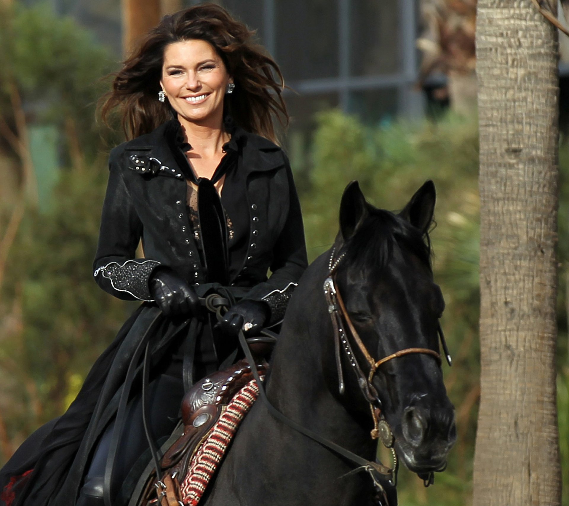 Download Brunette Music Shania Twain HD Wallpaper