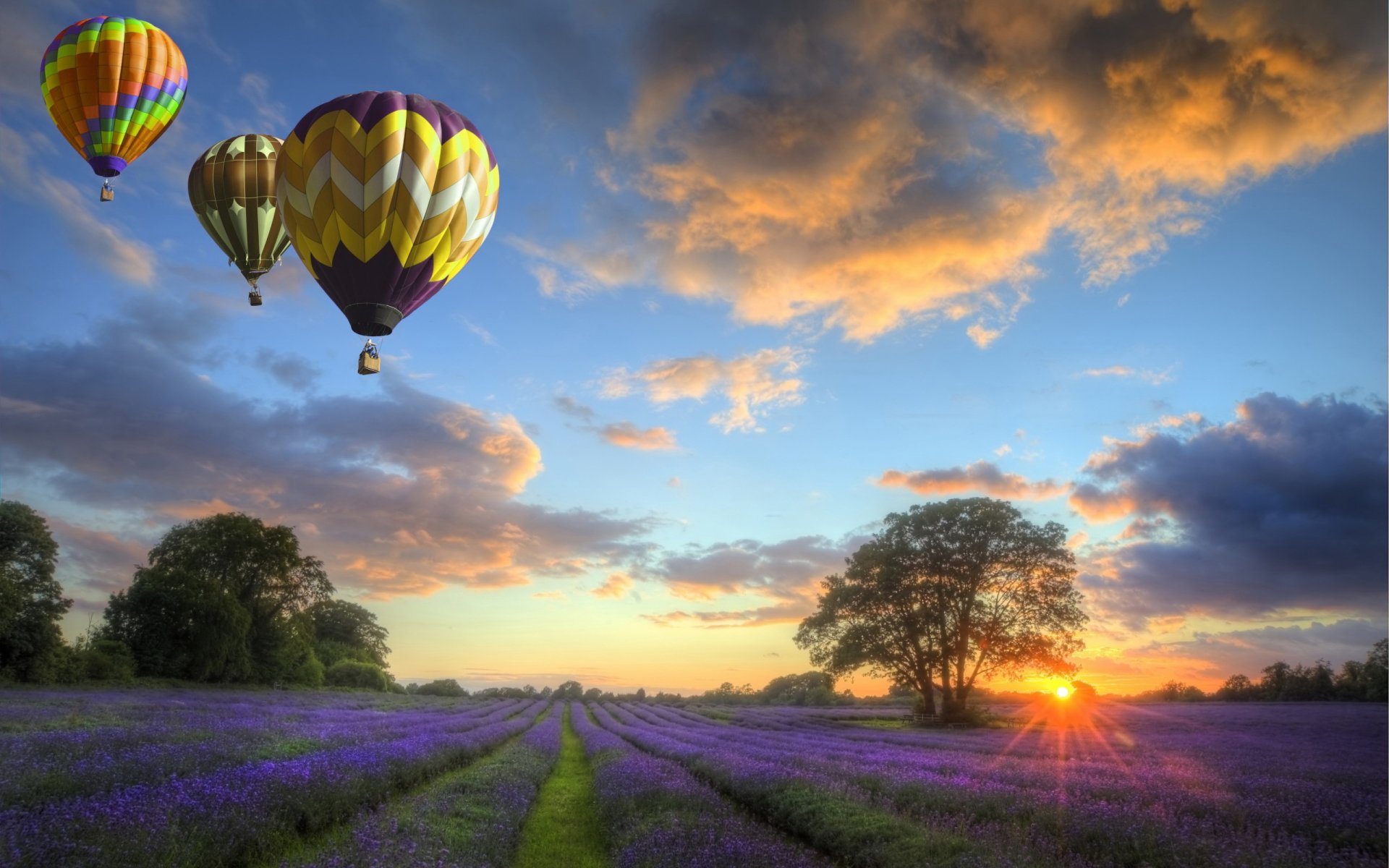 HD PC desktop wallpaper featuring colorful hot air balloons floating over a lavender field at sunset with vibrant clouds and a tree silhouette.
