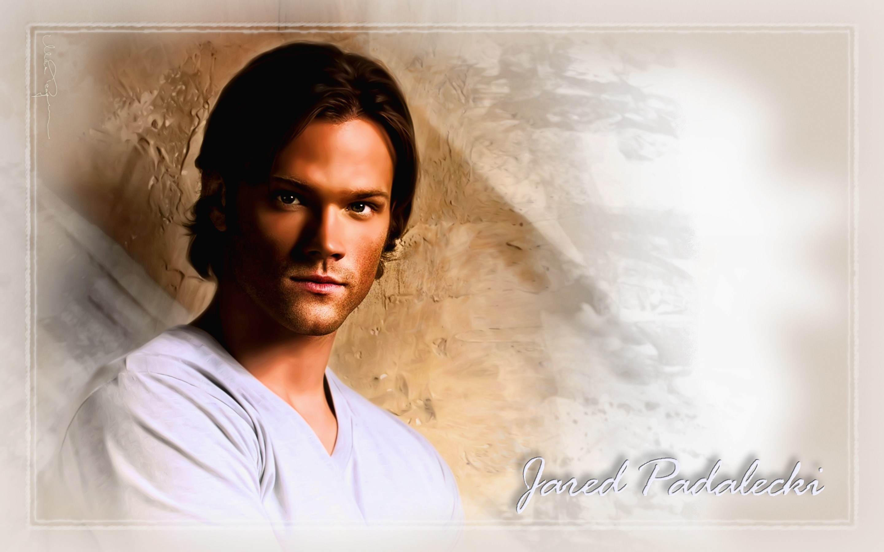 Celebrity Jared Padalecki HD Wallpaper | Background Image