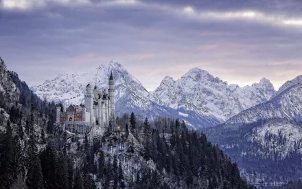 man made Neuschwanstein Castle HD Desktop Wallpaper | Background Image