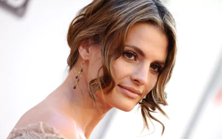 HD desktop wallpaper featuring Canadian actress and celebrity Stana Katic with a soft smile and elegant hairstyle.