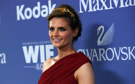 HD PC desktop wallpaper featuring Canadian actress and celebrity Stana Katic smiling at a formal event with a blue backdrop.