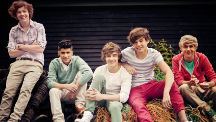 HD desktop wallpaper and background featuring the music band One Direction, with members casually sitting and smiling outdoors.