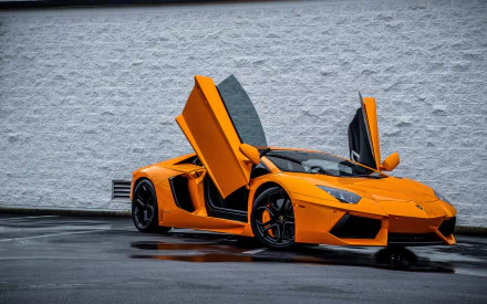 HD desktop wallpaper featuring an orange Lamborghini Aventador with open doors, parked against a textured gray wall.