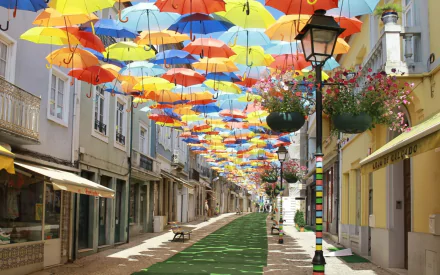 A vibrant street scene adorned with colorful umbrellas, creating a cheerful atmosphere. This HD photography serves as an eye-catching desktop wallpaper and background.