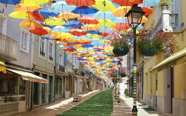 A vibrant street scene adorned with colorful umbrellas, creating a cheerful atmosphere. This HD photography serves as an eye-catching desktop wallpaper and background.