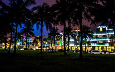 man made Miami HD Desktop Wallpaper | Background Image