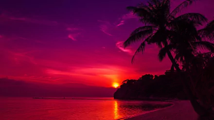A stunning sunset over a tranquil Thai beach, with vibrant pink and purple hues reflecting on the water, framed by palm trees, creating a serene natural landscape.