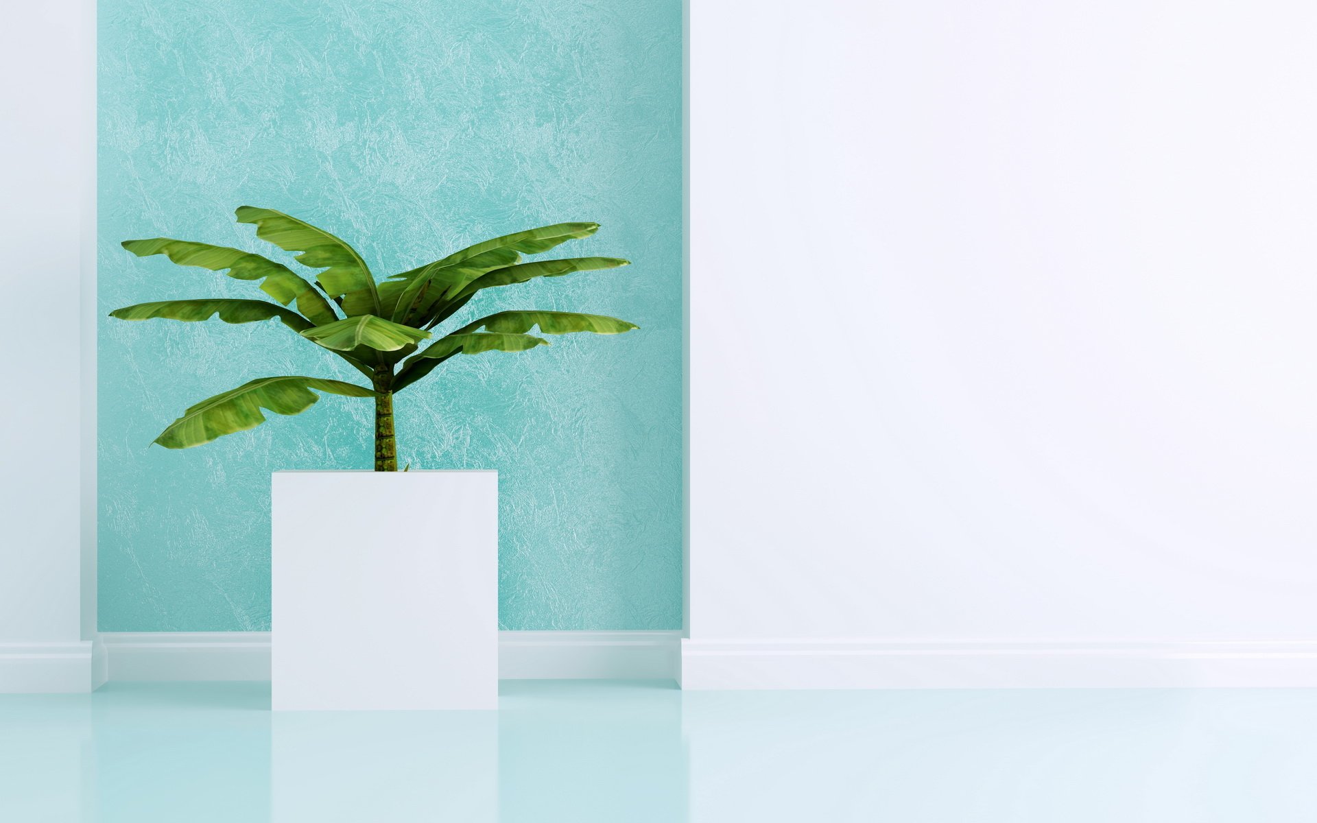 A bright, modern interior featuring a lush green plant in a white pot against a soothing teal wall, serving as a vibrant HD desktop wallpaper and background.